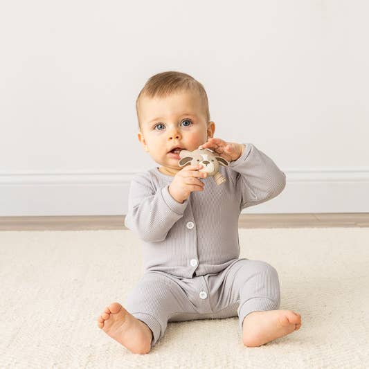 Ritzy Teether Puppy Baby Molar Teether