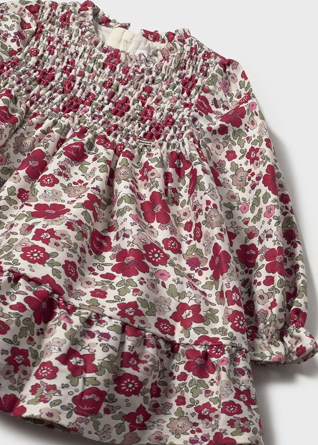 Baby + Toddler Ruffled Velvet Dress - Red Floral