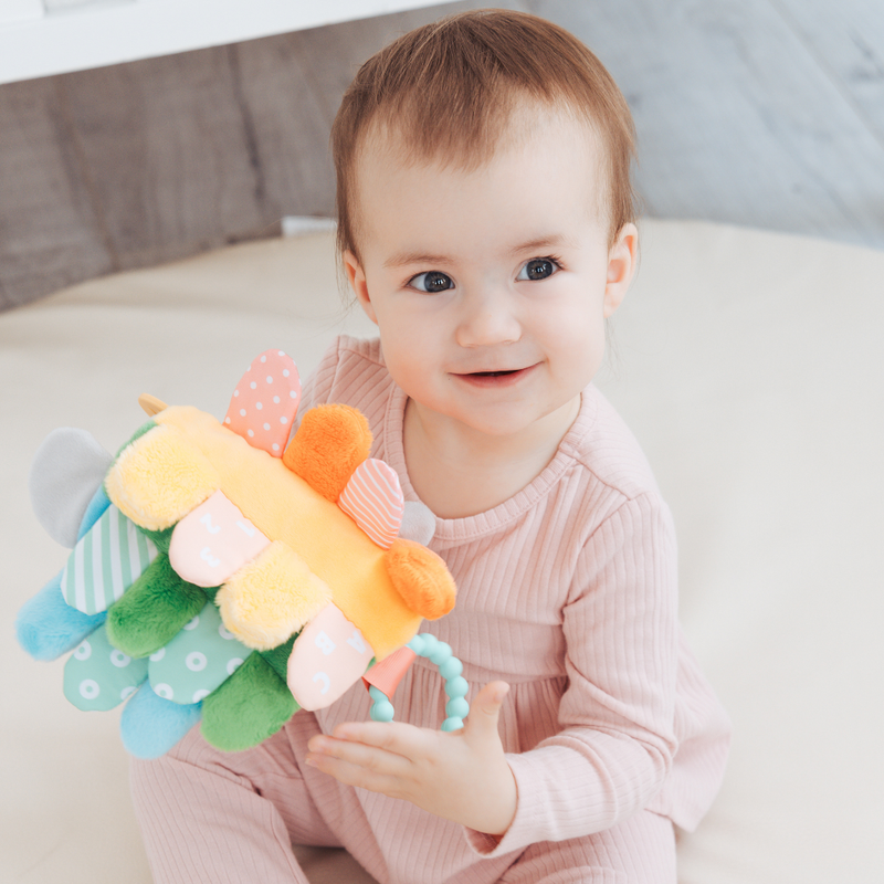 Hedgie Snuggly Sensory And Learning Toy