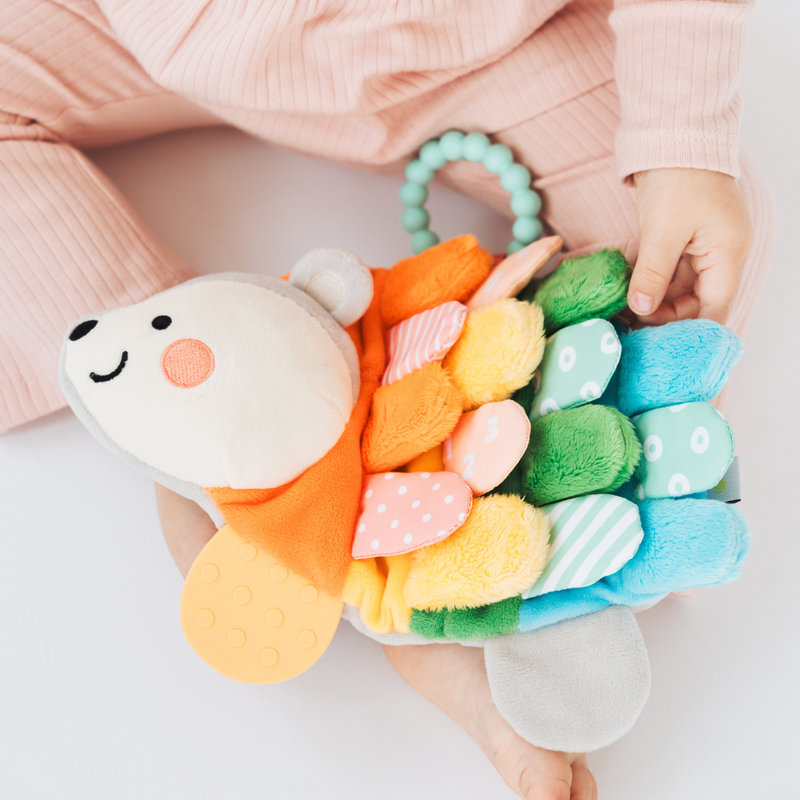 Hedgie Snuggly Sensory And Learning Toy