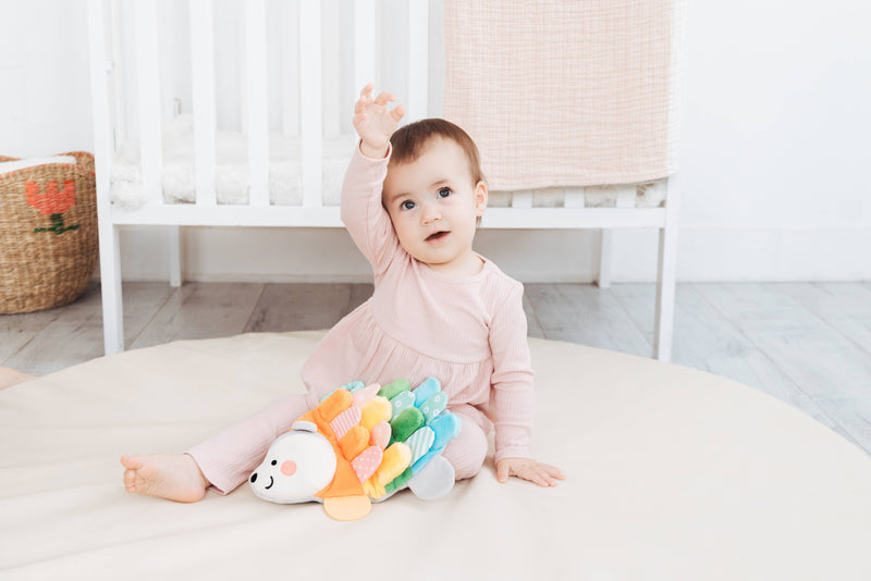 Hedgie Snuggly Sensory And Learning Toy