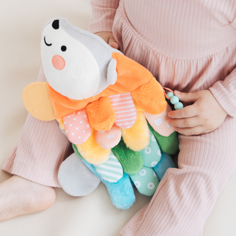 Hedgie Snuggly Sensory And Learning Toy