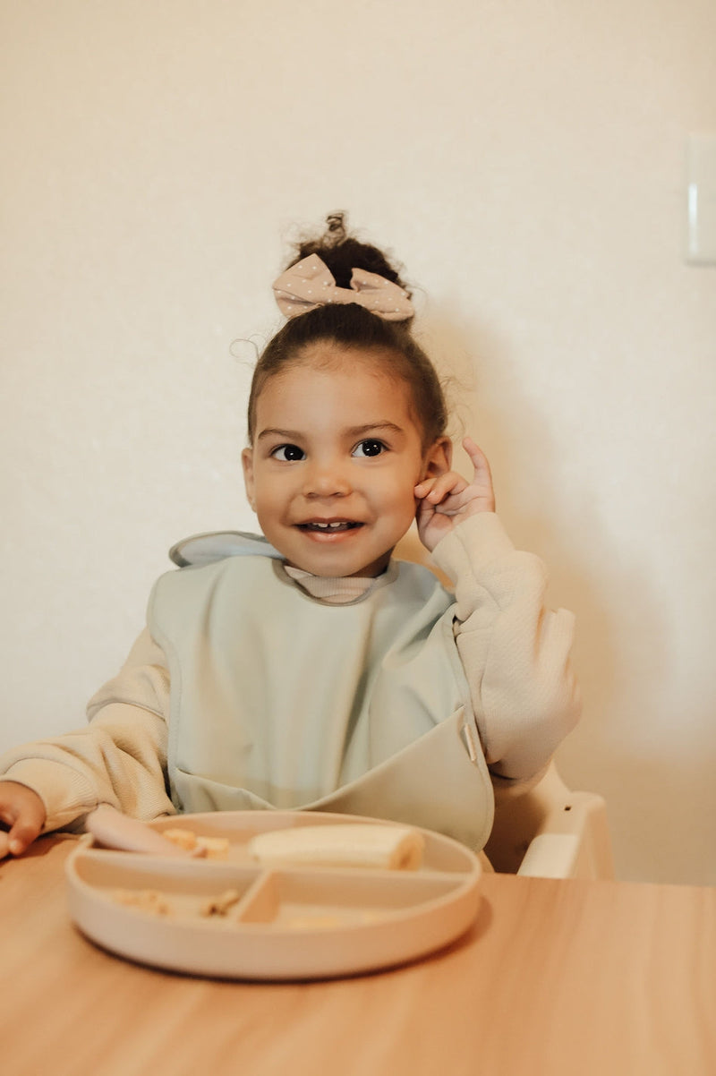Long Sleeve Smock & Bib Set - Dino + Mint