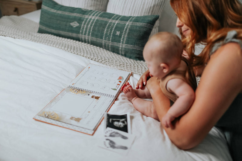 Luxury Memory Book - Teddy Bears Picnic