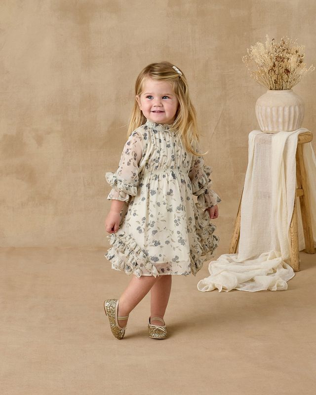 Mirabelle Dress || Winter Vines