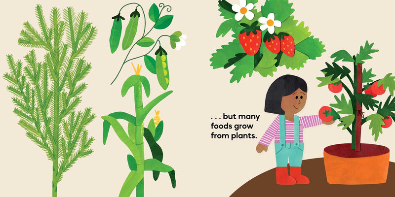 Our Food Grows by Sarah M. White