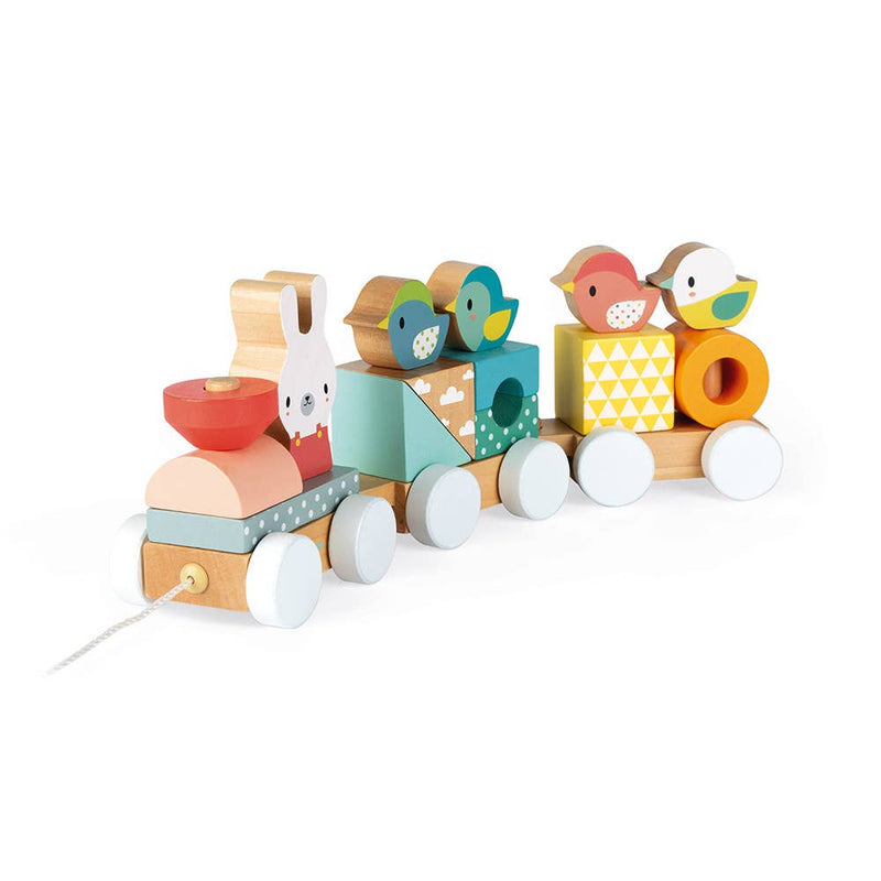 Pull-Along Train