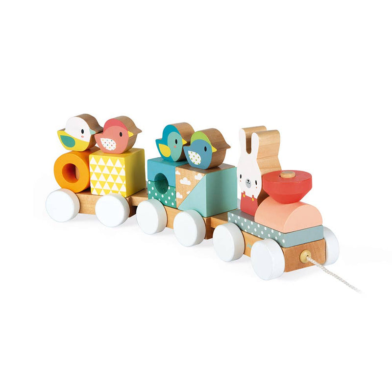 Pull-Along Train