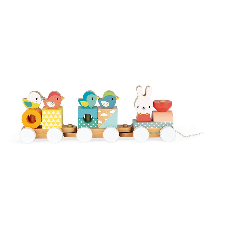 Pull-Along Train