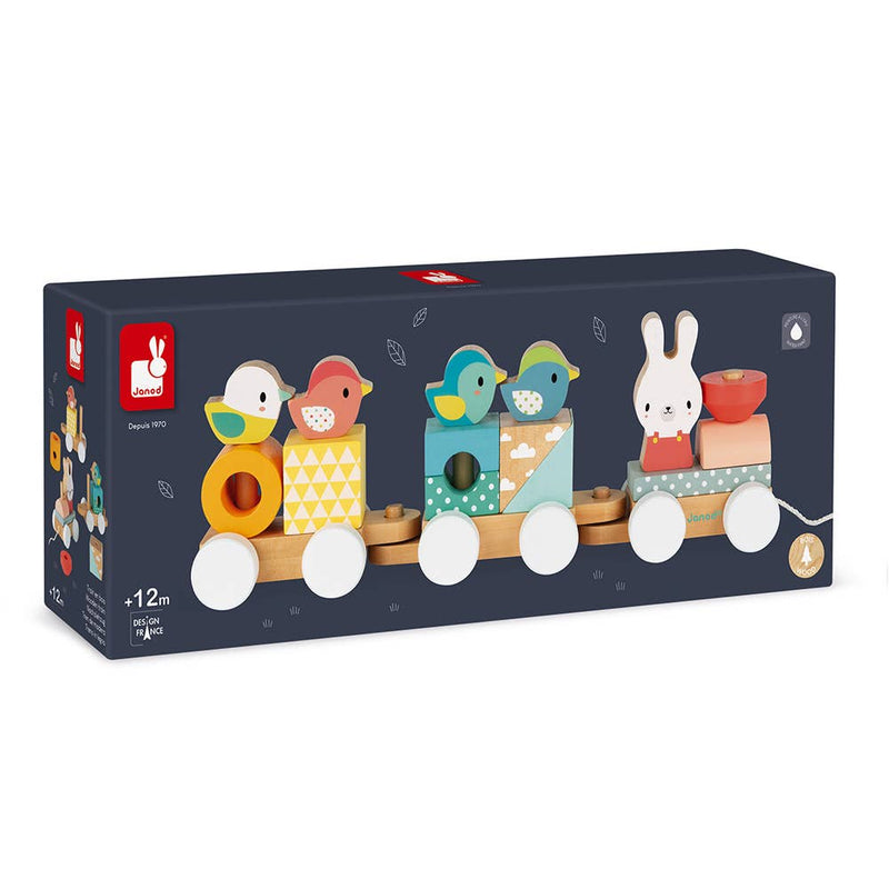 Pull-Along Train