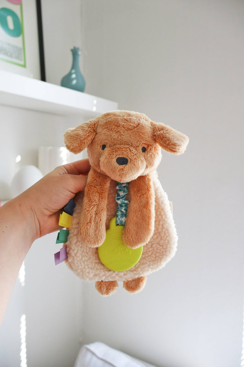 Puppy Itzy Friends Lovey Plush + Teether Toy