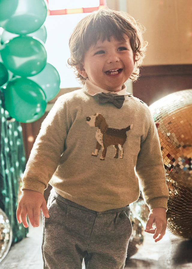 Toddler Beagle Dog Sweater