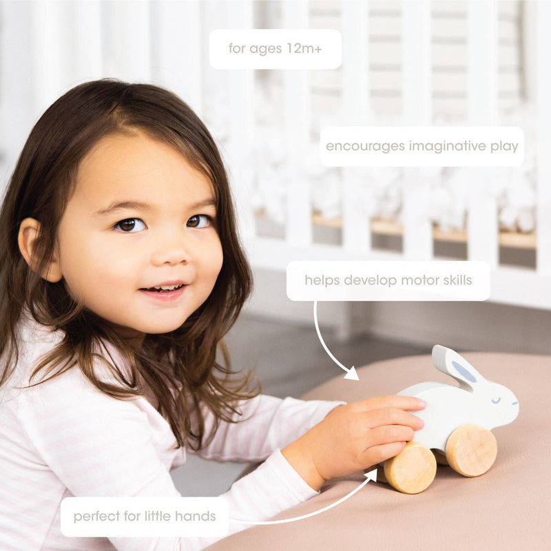Wooden Toy Push-Along Bunny