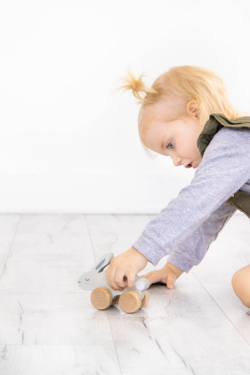Wooden Toy Push-Along Bunny