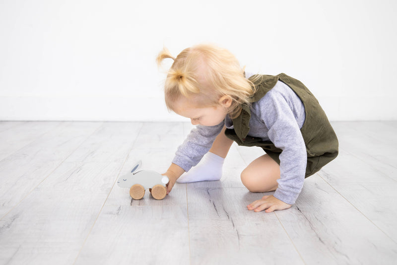 Wooden Toy Push-Along Bunny