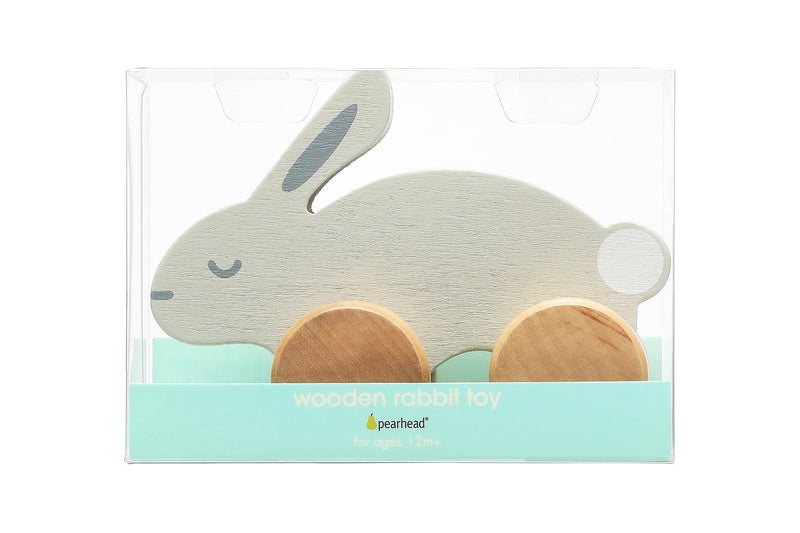 Wooden Toy Push-Along Bunny