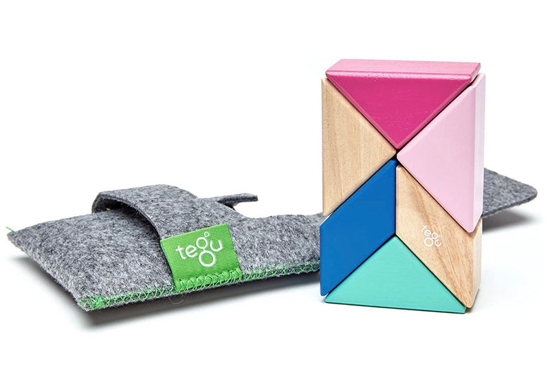 Tegu Pocket Pouch: Prism - Wee Bee Baby Boutique